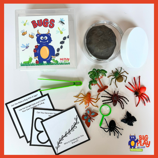 BUGS! Mini Sensory Box